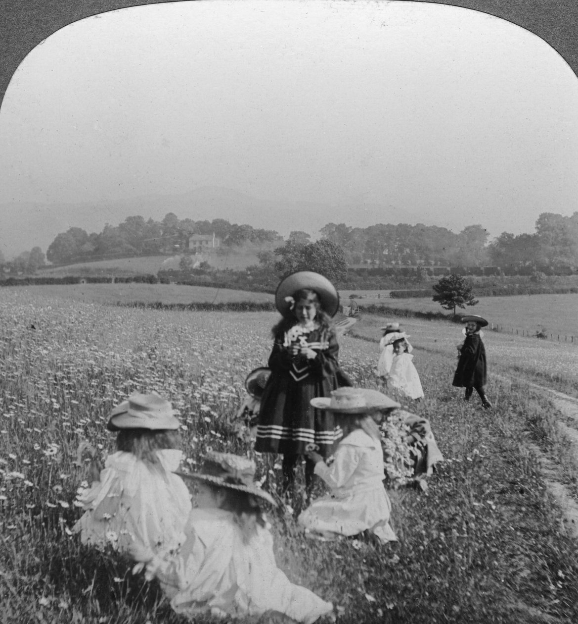 Gyerekek a réten, Keswick, Cumbria. alkotó: Excelsior Stereoscopic Tours
