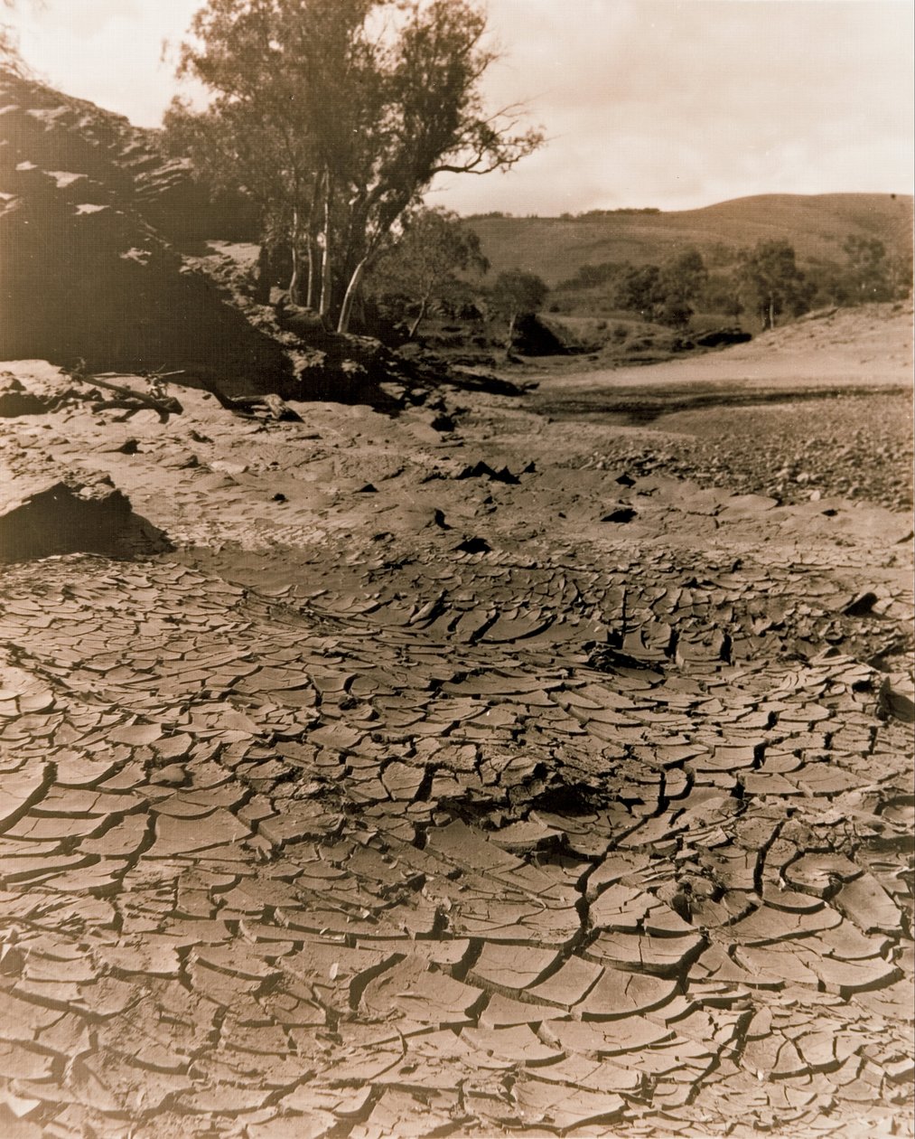 Az eltűnt medence, a Flinders Ranges alkotó: F. A. Joyner