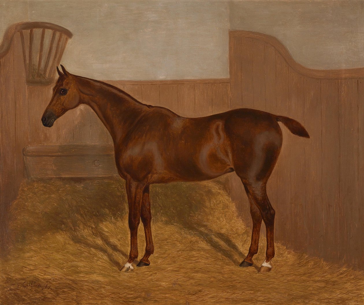 Lóportré (Lady Oswestry vagy Dandy, a két festmény egyike, egy tételben ezekkel a nevekkel) alkotó: F. Clifton