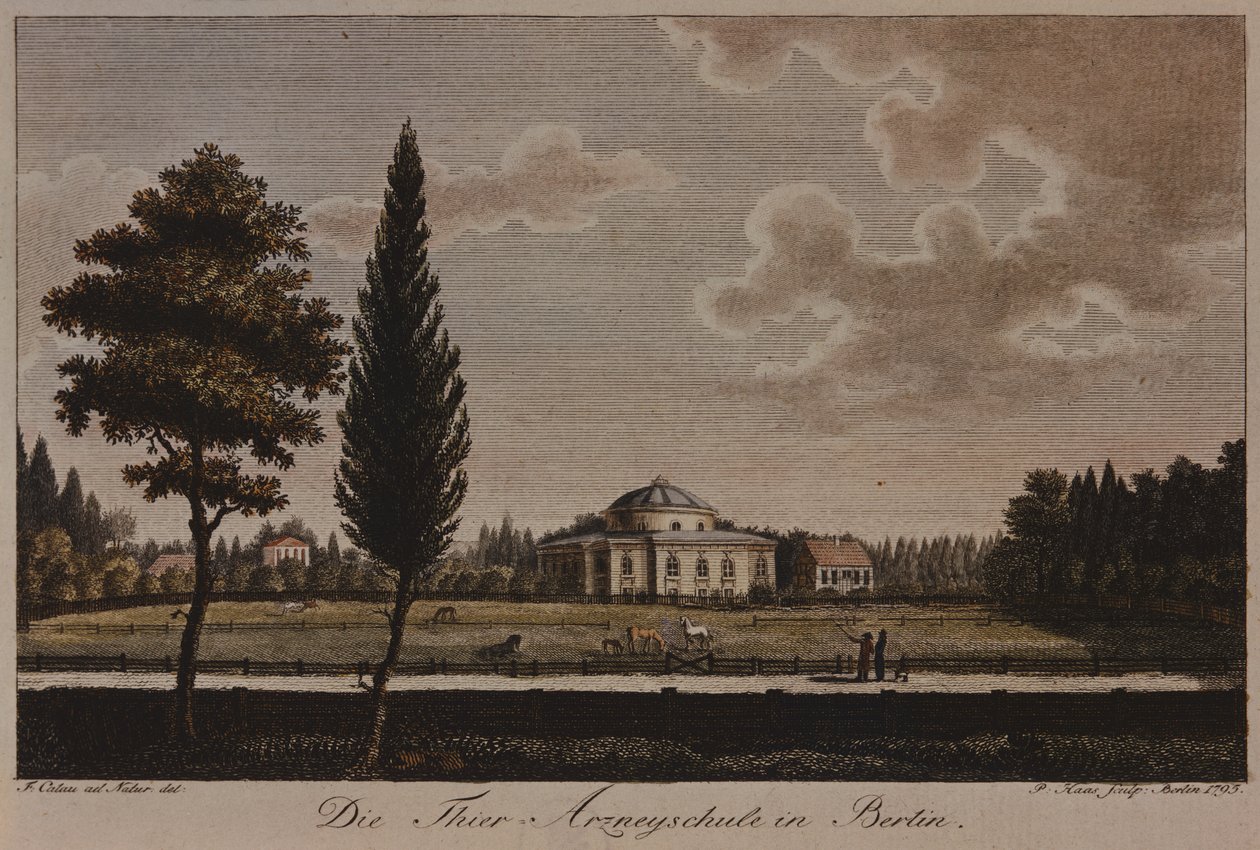 Az Állatorvosi Iskola, Berlin, 1795 (rézkarc) alkotó: F.A. Calau