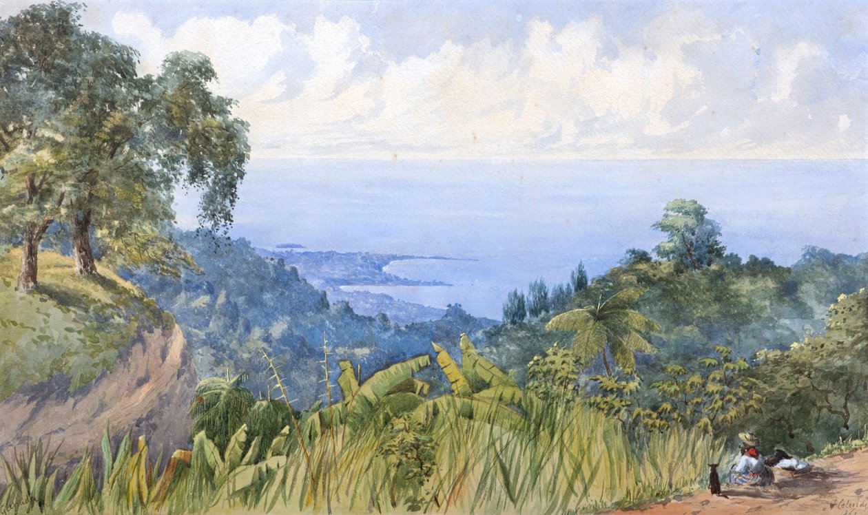 Grenada alkotó: F.G. Coleridge