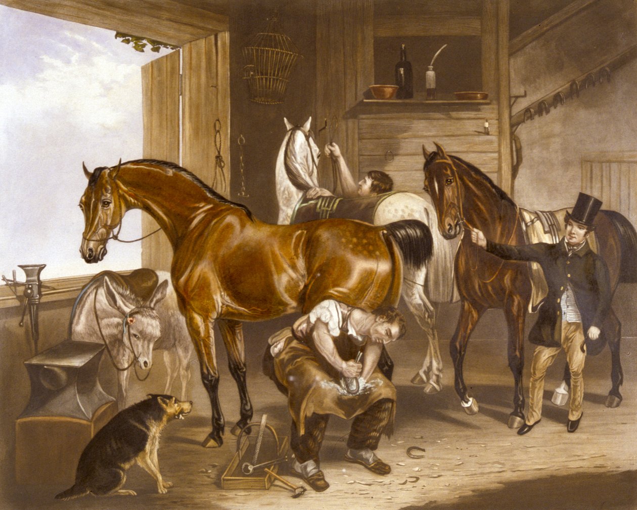 Az állatorvos, metszett J. R. Mackrell (színes litó) alkotó: F. C. (after) Turner