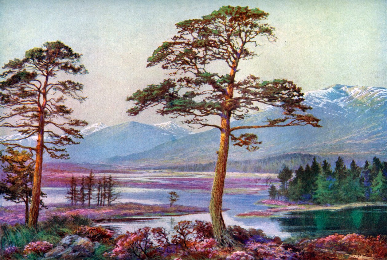 A Loch Tulla-on, Black Mount, Argyllshire, Skócia, 1924-1926. alkotó: F. C. Varley