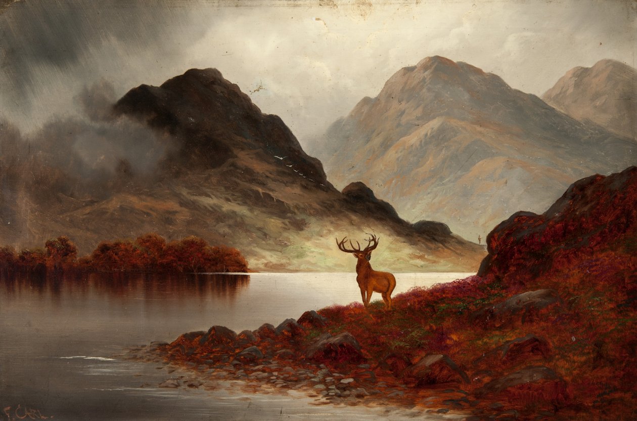 Stag at Bay (olaj, vászon) alkotó: F. Carl
