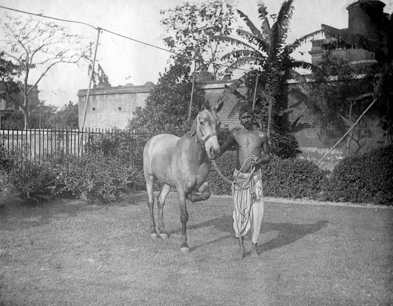 Ember lóval, Alipore, India, 1905-1906 alkotó: F. L. Peters