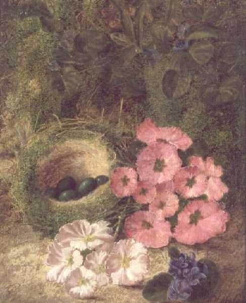 Tavasz (fészek kutyarózsákkal) alkotó: Fanny Jane Bayfield