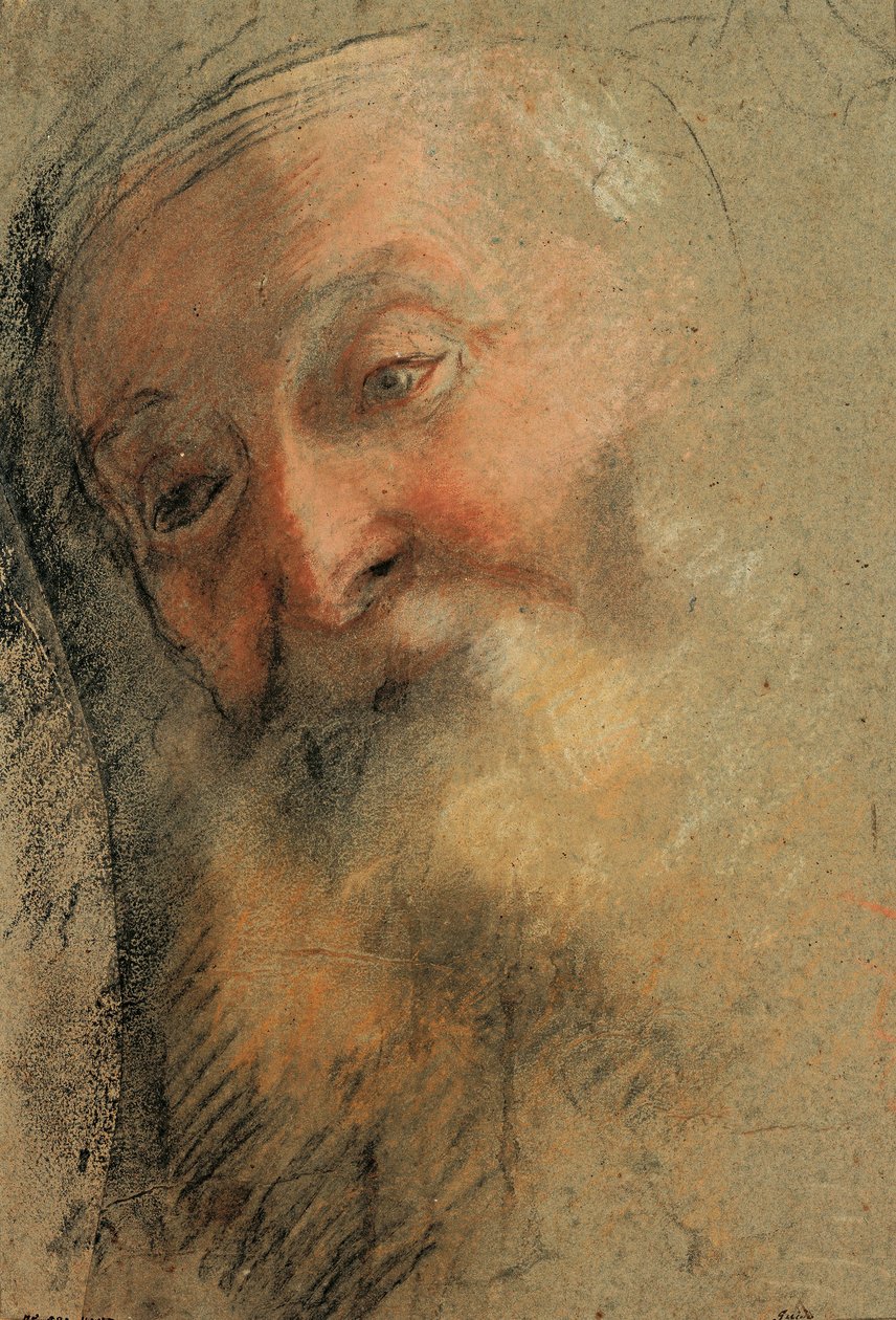 Egy öreg szakállas fej, 1584-1586 alkotó: Federico Barocci