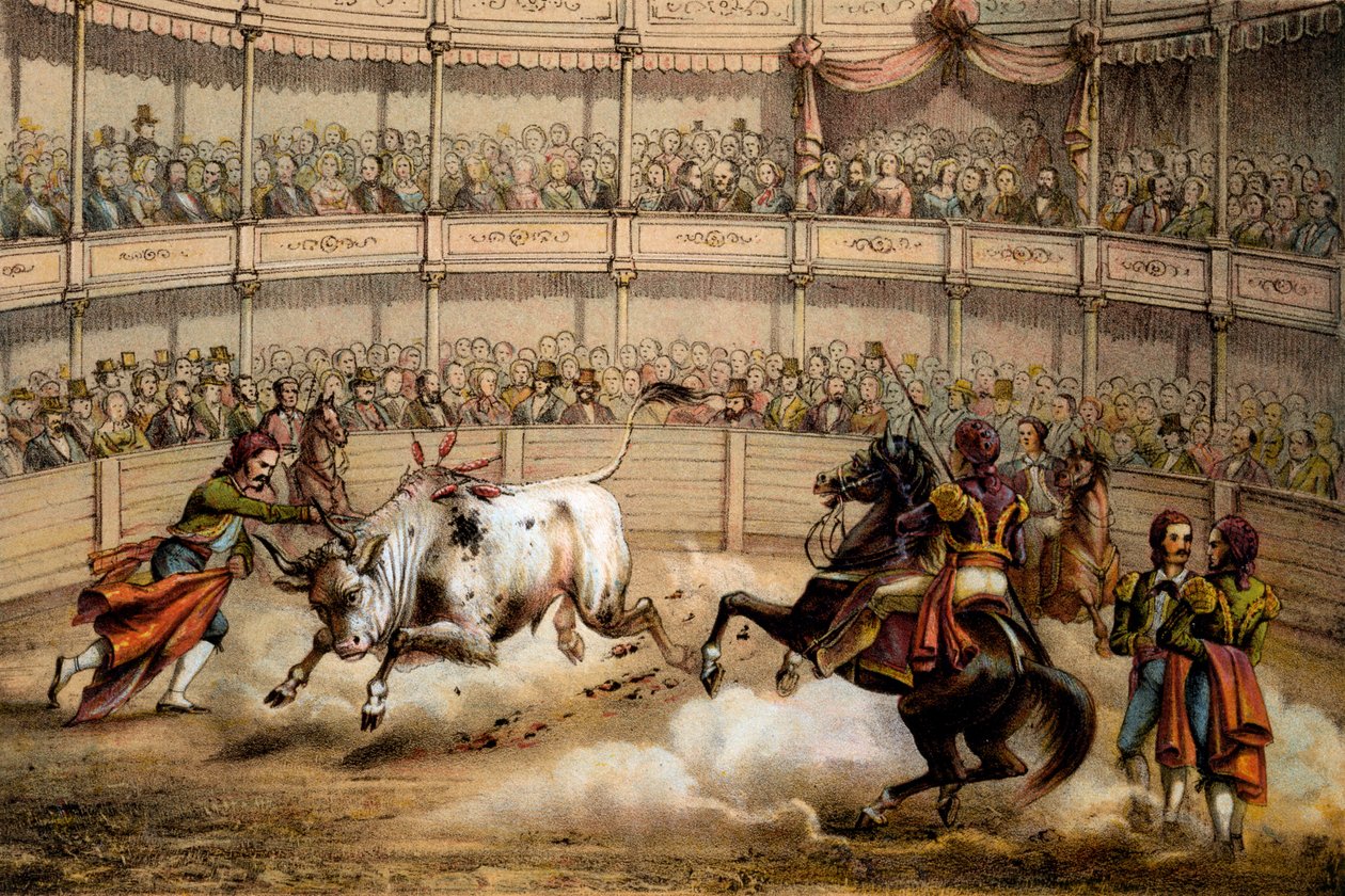 Bikaviadal, 1840 alkotó: Federico Mialhe