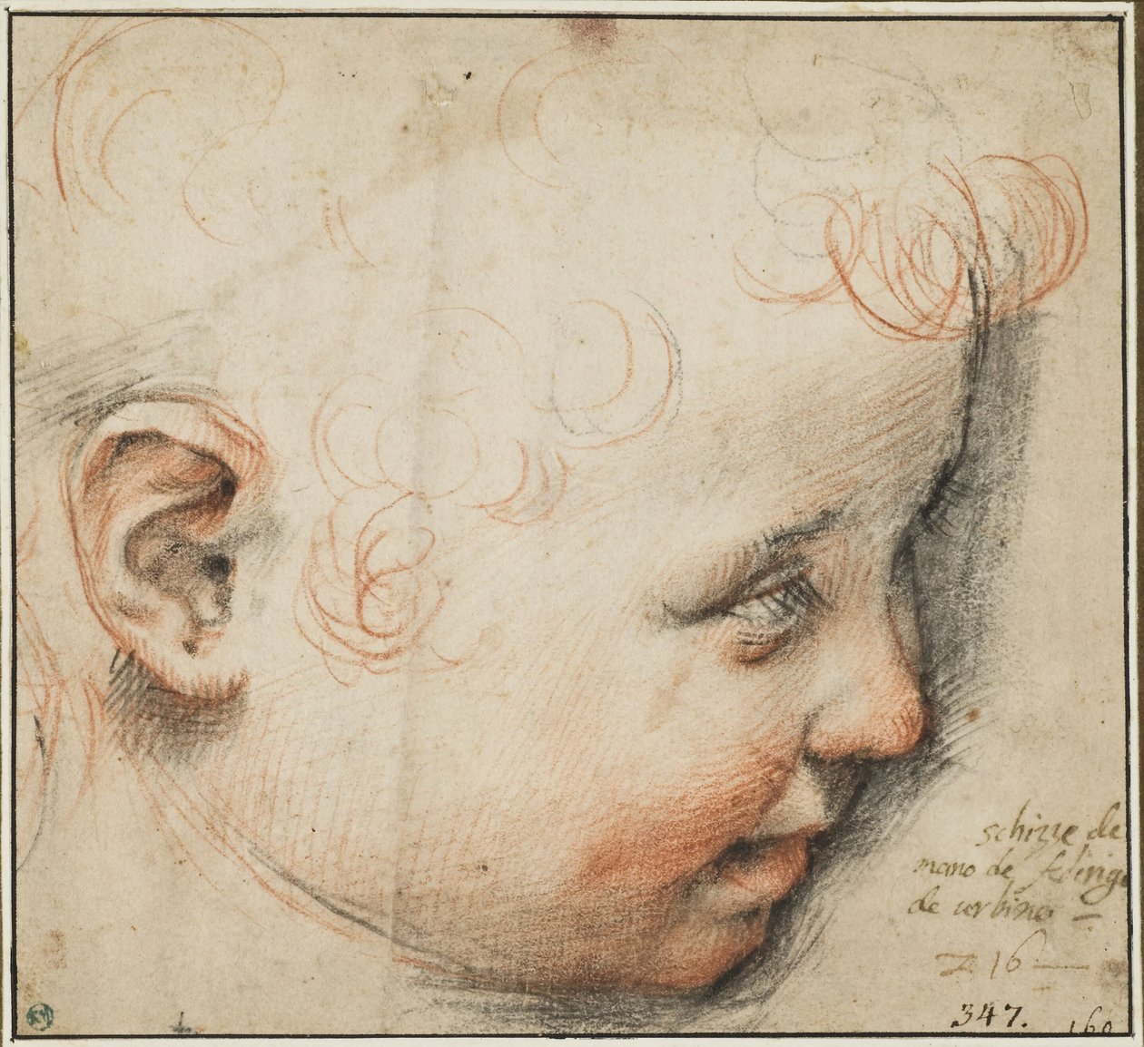 Gyermekfej profilból; talán a gyermek Jézushoz alkotó: Federico Barocci