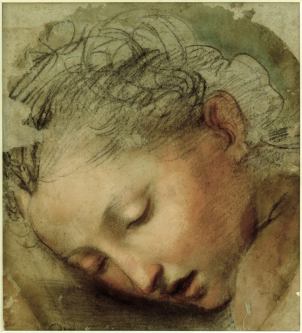 Női fej, 1568 alkotó: Federico Barocci