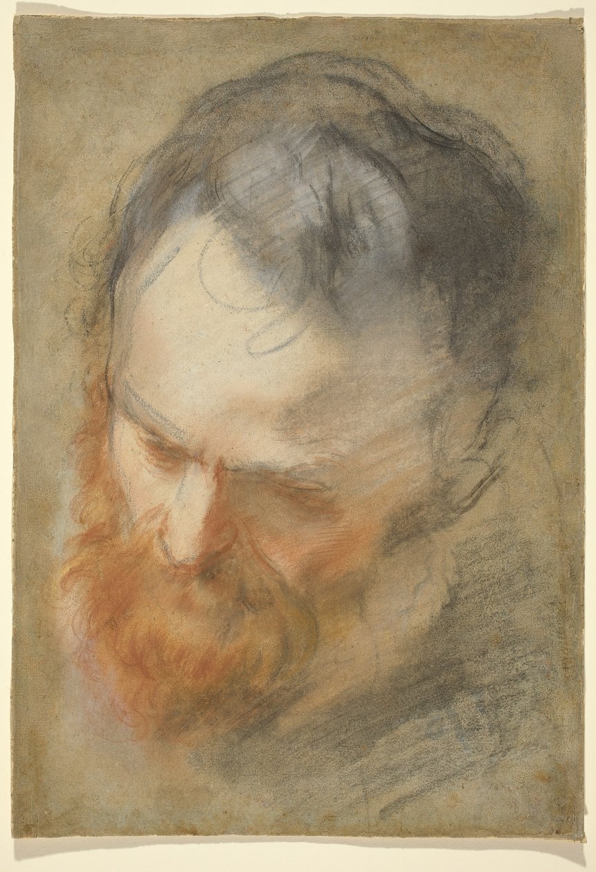 Egy szakállas férfi feje alkotó: Federico Barocci