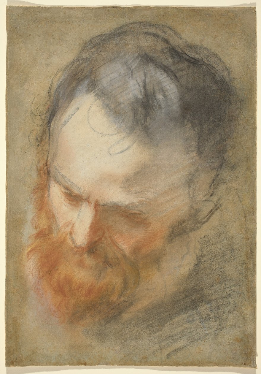 Egy szakállas férfi feje alkotó: Federico Barocci