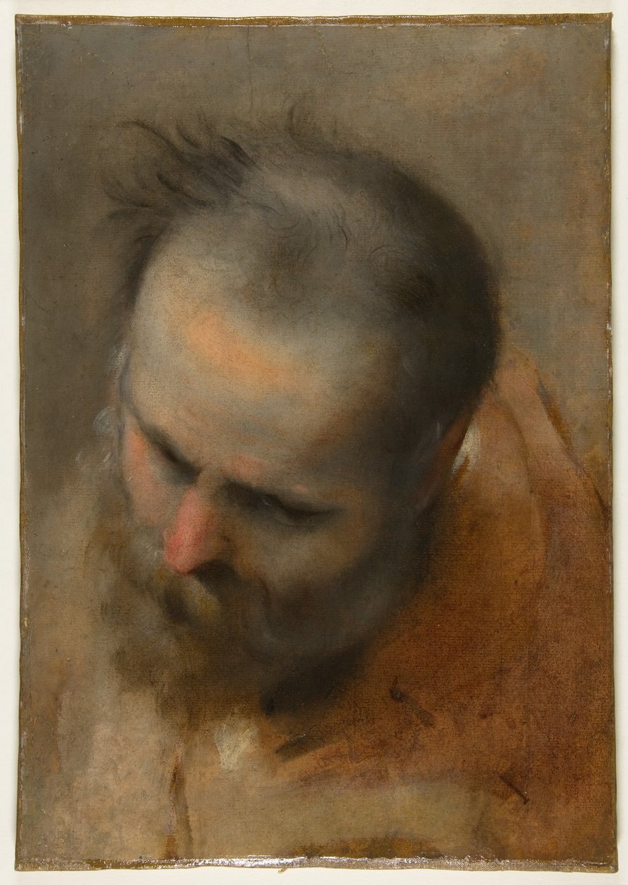 Egy szakállas férfi feje, aki balra lefelé tekint (Nikodémusz) alkotó: Federico Barocci
