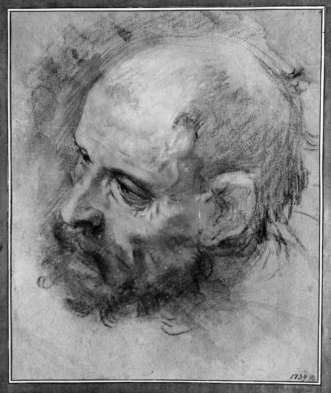 Balra forduló és oldalra hajló szakállas férfi fejtanulmánya alkotó: Federico Barocci