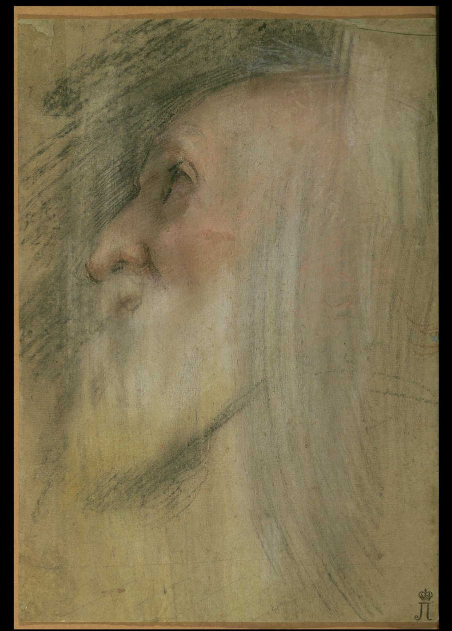 Profilos öregember feje, 1575-1579 körül (pasztell, fekete kréta és szangvinikus) alkotó: Federico Barocci