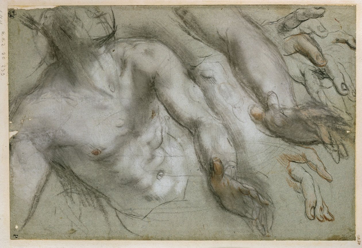 Tanulmány a szent alakjához a „Szent Vitalis vértanúsága” című festményhez alkotó: Federico Barocci