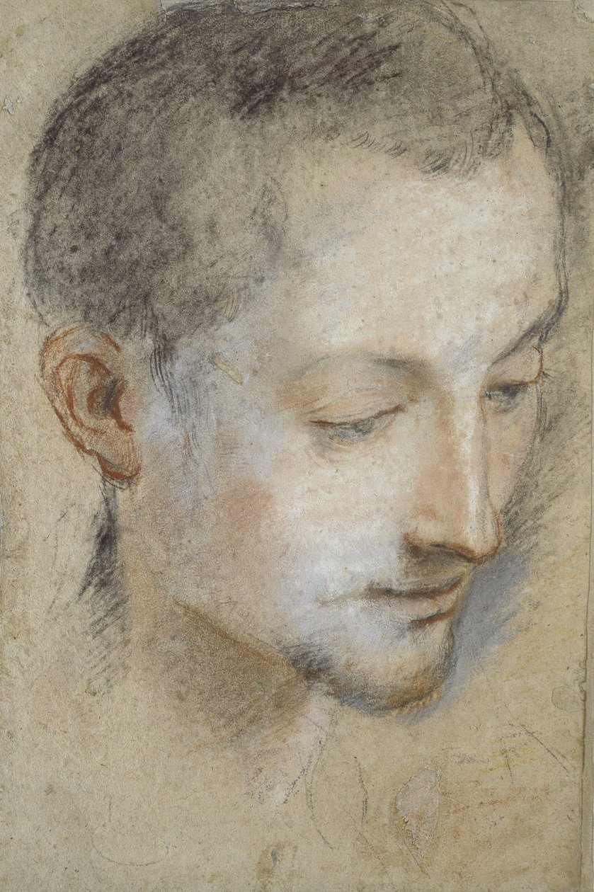 Tanulmány egy fiatal férfi fejéről (fekete, piros és rózsaszín kréták szürkés papíron) alkotó: Federico Barocci