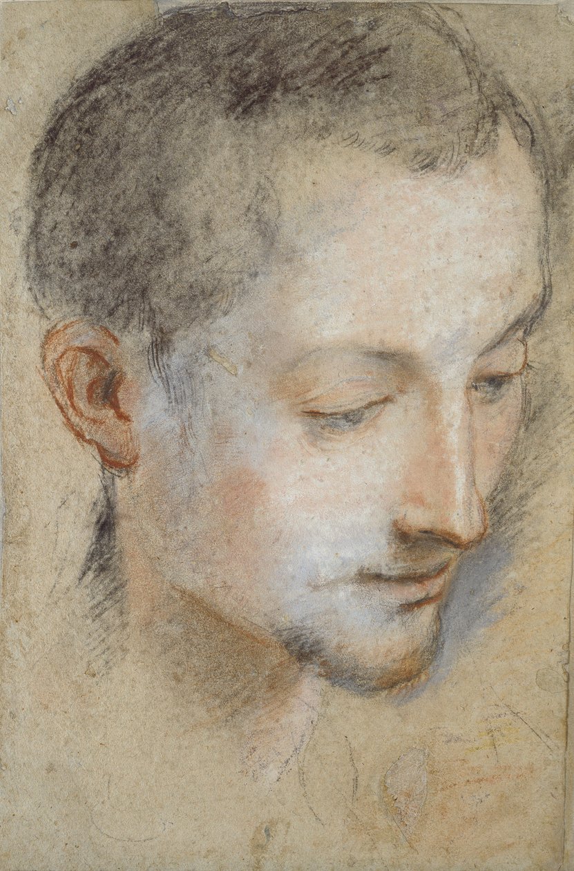 Tanulmány egy fiatal férfi fejéről, 16. század vége alkotó: Federico Barocci