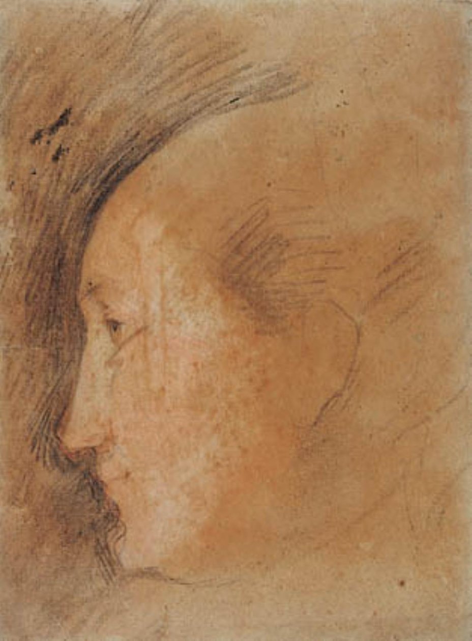 Női fej profilban balra alkotó: Federico Barocci