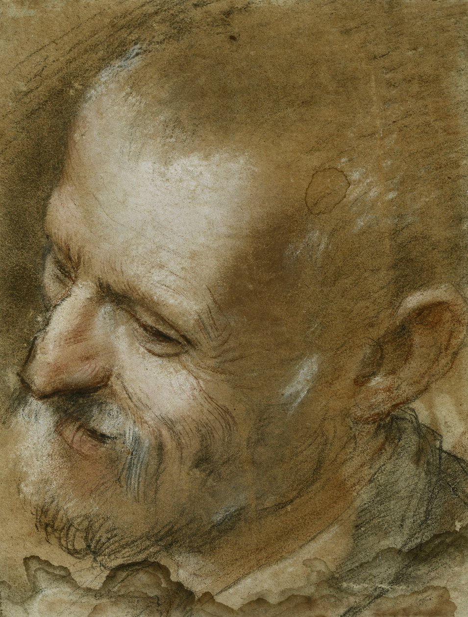Tanulmány egy szakállas férfi fejéről balra, 1590 alkotó: Federico Fiori Barocci or Baroccio
