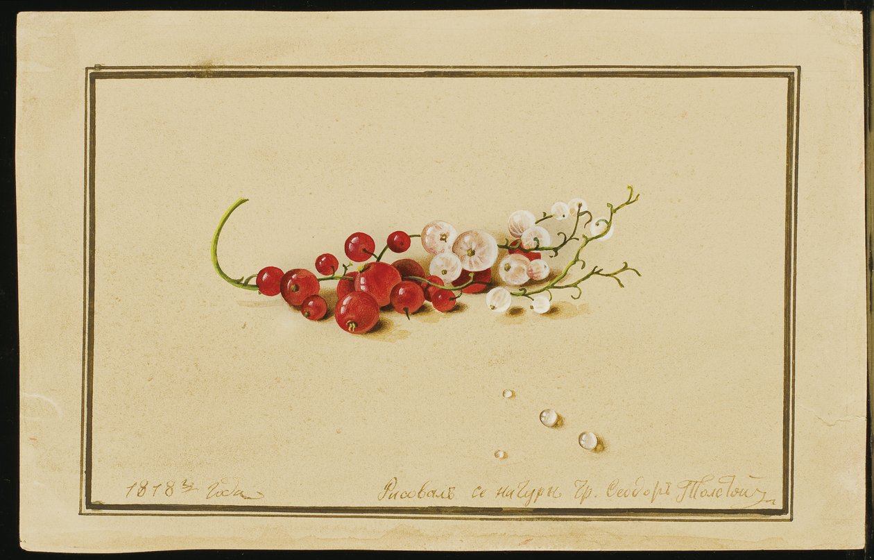Piros-fehér ribizli, 1818 alkotó: Fedor Petrovich Tolstoy