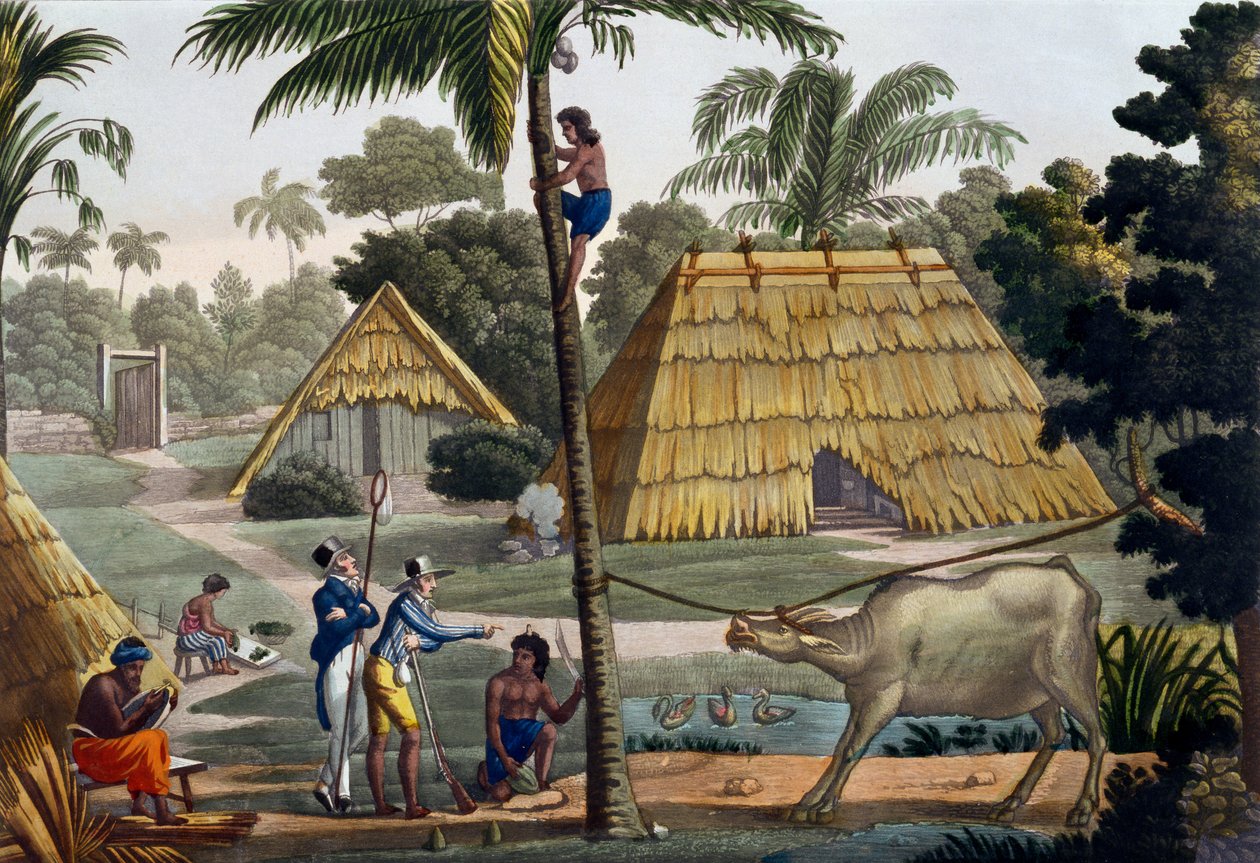 Természettudósok kérdezgetik a bennszülötteket Kupang közelében, Timor, 7. tábla Jules Ferrario "Le Costume Ancien et Moderne" című művéből, kiadva az 1820-30-as évek körül alkotó: Felice Campi