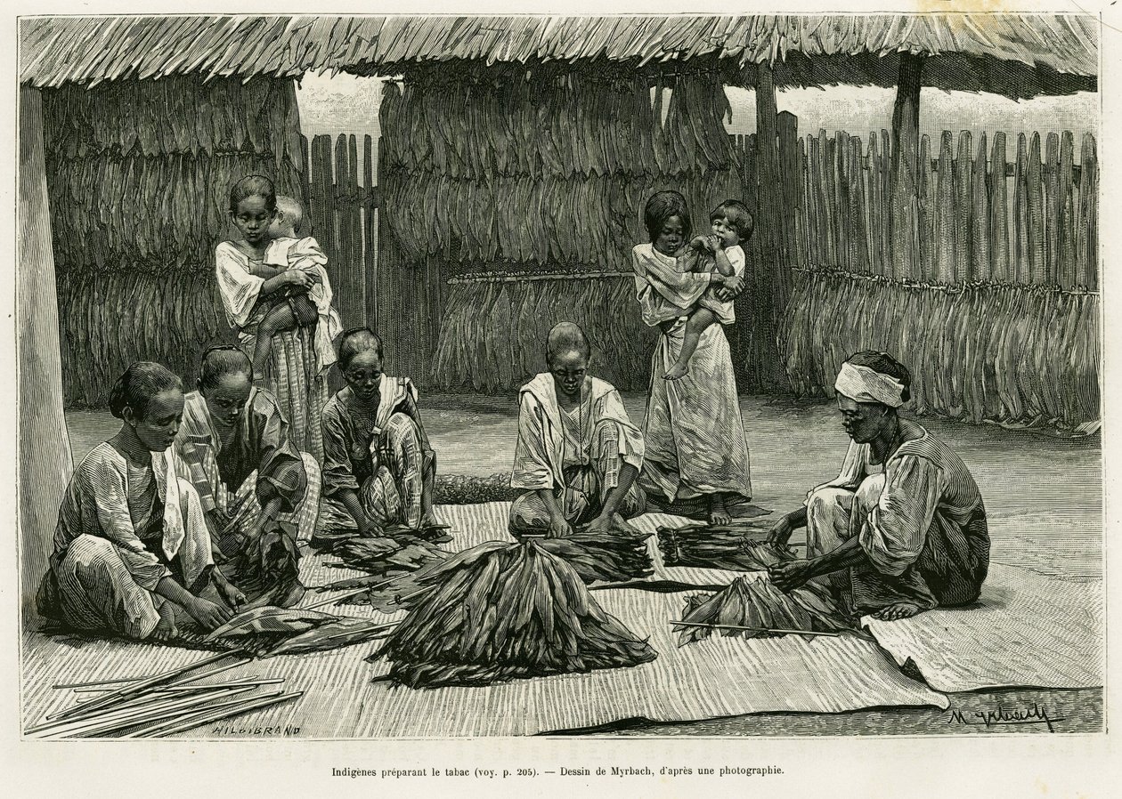 Dohánytermelő őslakosok. Myrbach metszet a Lucon és Palaouan, hat éve a Fülöp-szigeteken című történet illusztrálására, Alfred Marche (1844-1898), in le tour du monde 1886, rendező: Edouard Charton (1807-1890), Hachette, Párizs. alkotó: Felicien baron de Myrbach Rheinfeld
