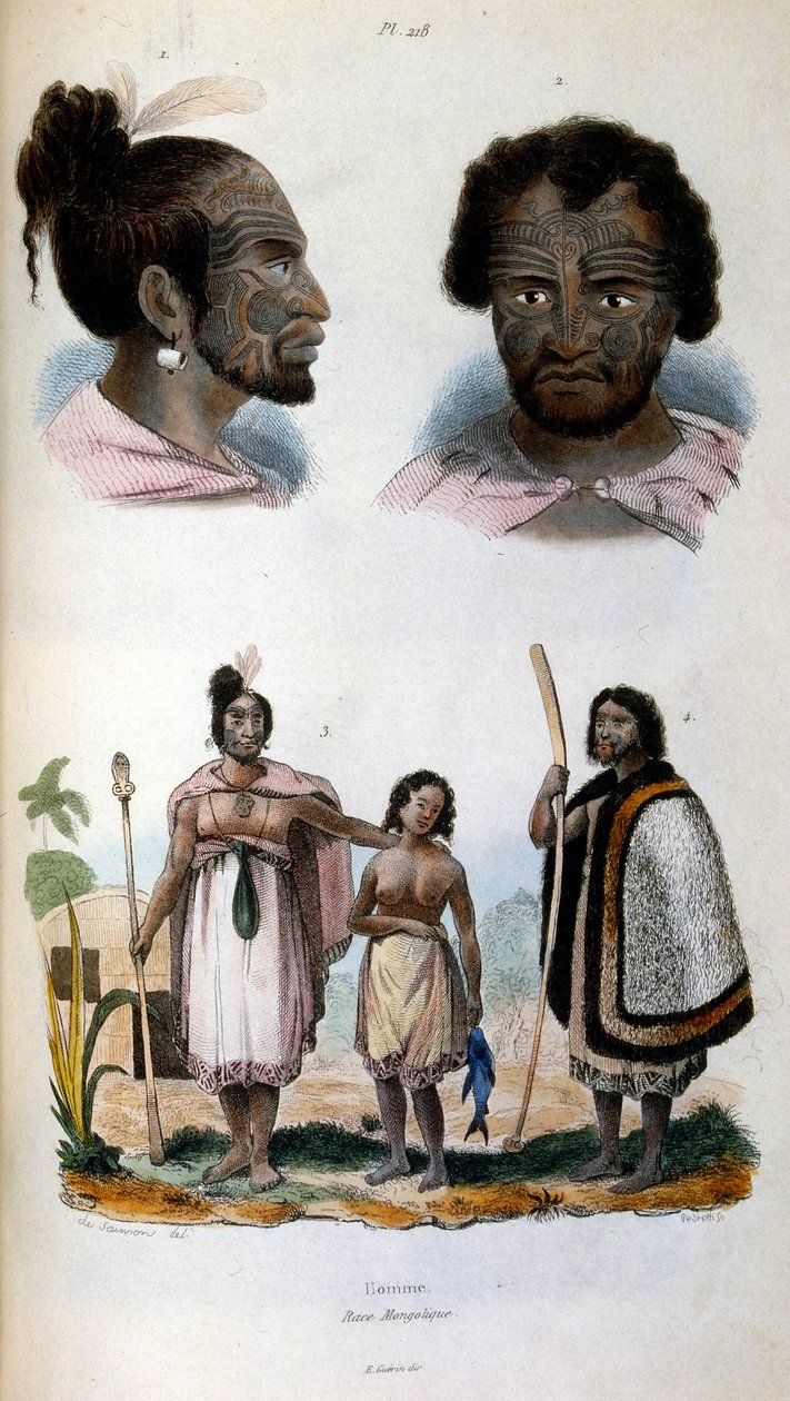 A maori fajt ábrázoló antropológiai illusztráció alkotó: Felix-Edouard Guerin