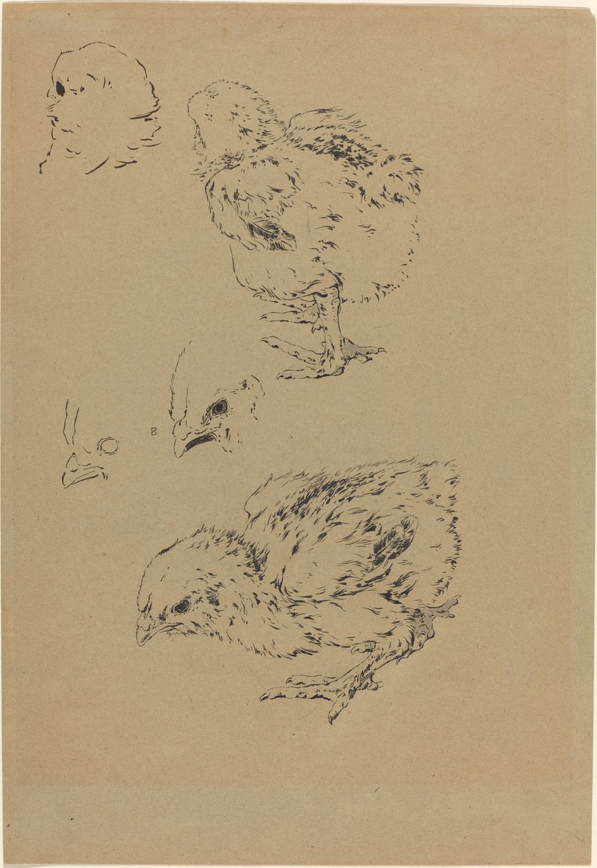 Csajok alkotó: Felix Bracquemond
