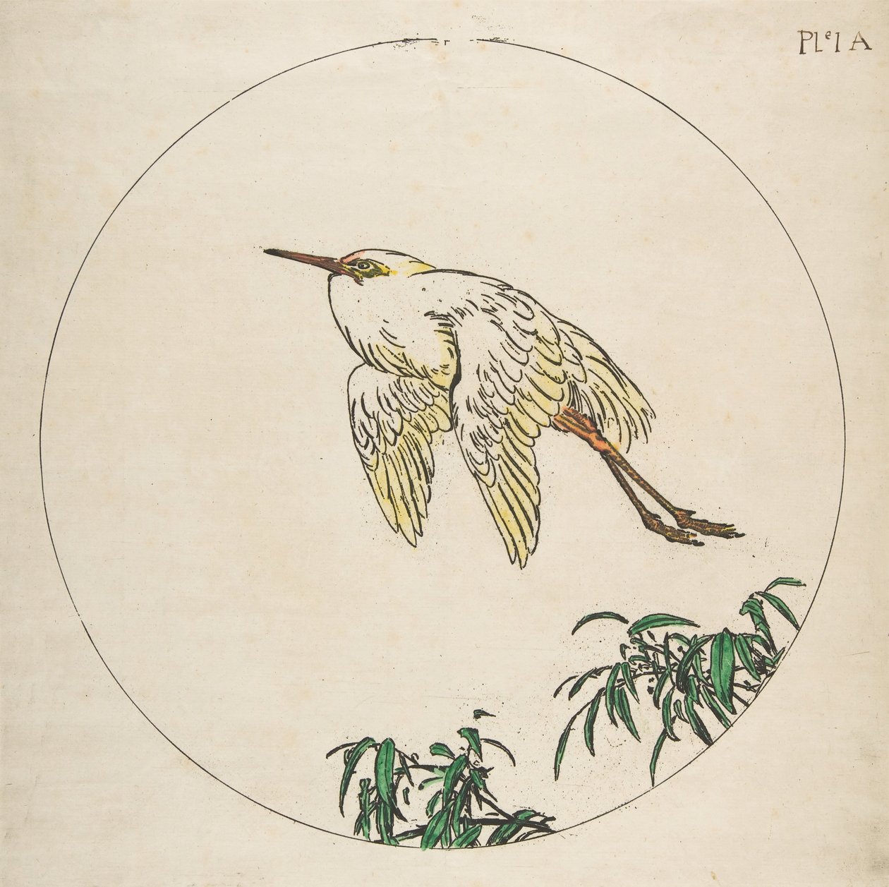 Dísz tányérhoz: bambuszágak felett repülő kócsag, 1850-1914. alkotó: Felix Bracquemond