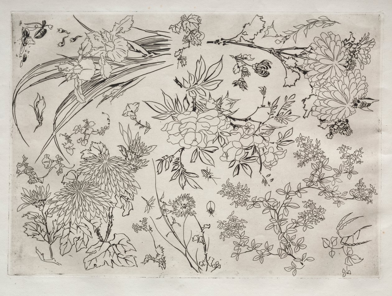 Vacsora (Rousseau szolgáltatás): Virágok (23. sz.) alkotó: Felix Bracquemond