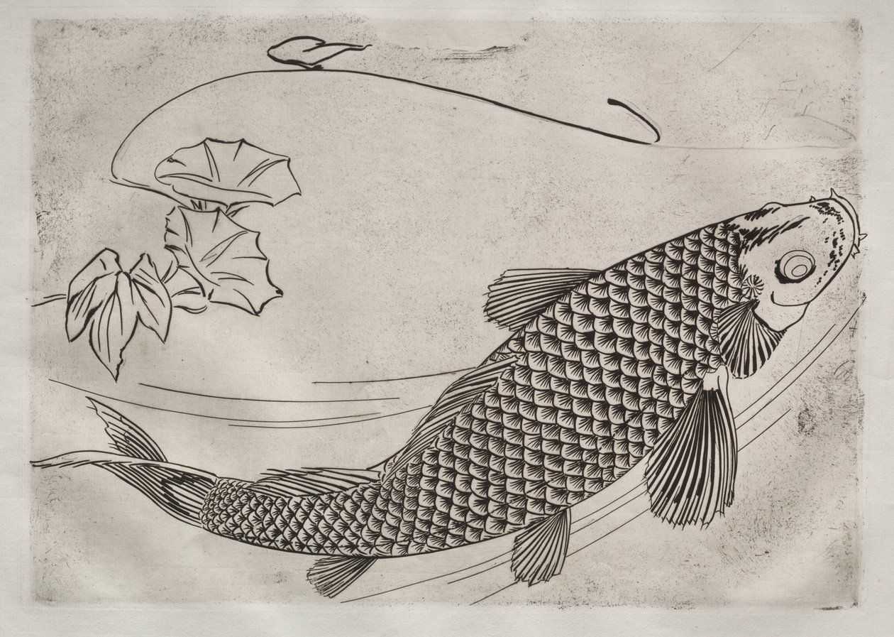 Vacsora (Rousseau szolgáltatás): nagy hal japán stílusban (19. sz.) alkotó: Felix Bracquemond