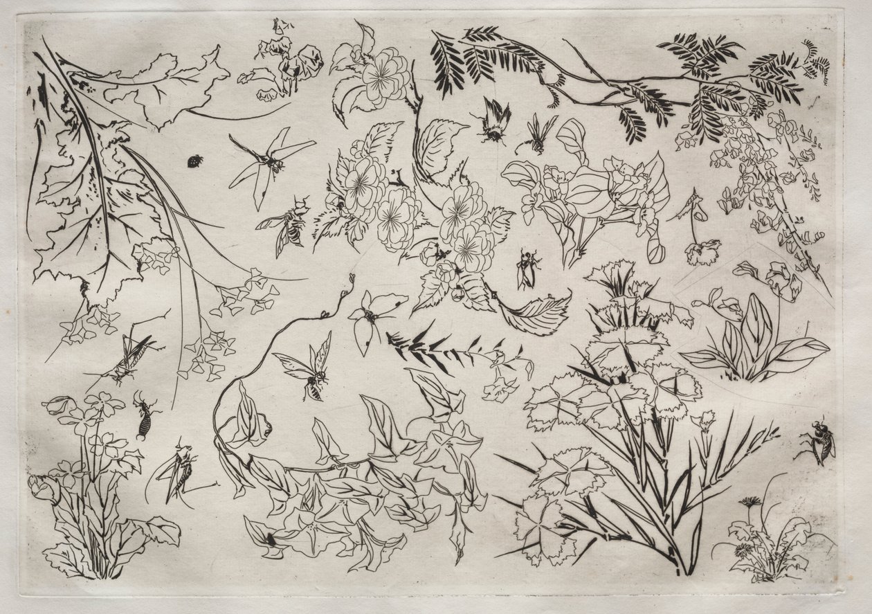 Vacsora Rousseau szolgáltatás: Virágok sz. 1866. 22. alkotó: Felix Bracquemond