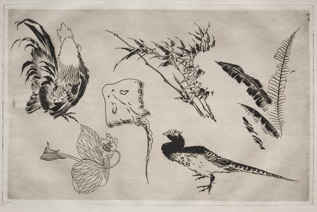 Vacsora Rousseau szolgáltatás: Kakasok, rája, növények stb. sz. 1866. 9. alkotó: Felix Bracquemond
