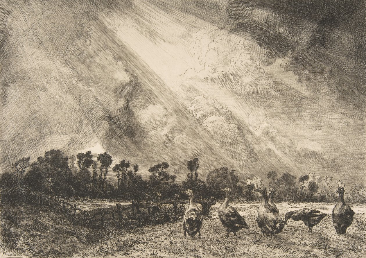 A viharfelhő, 1882-84. alkotó: Felix Bracquemond