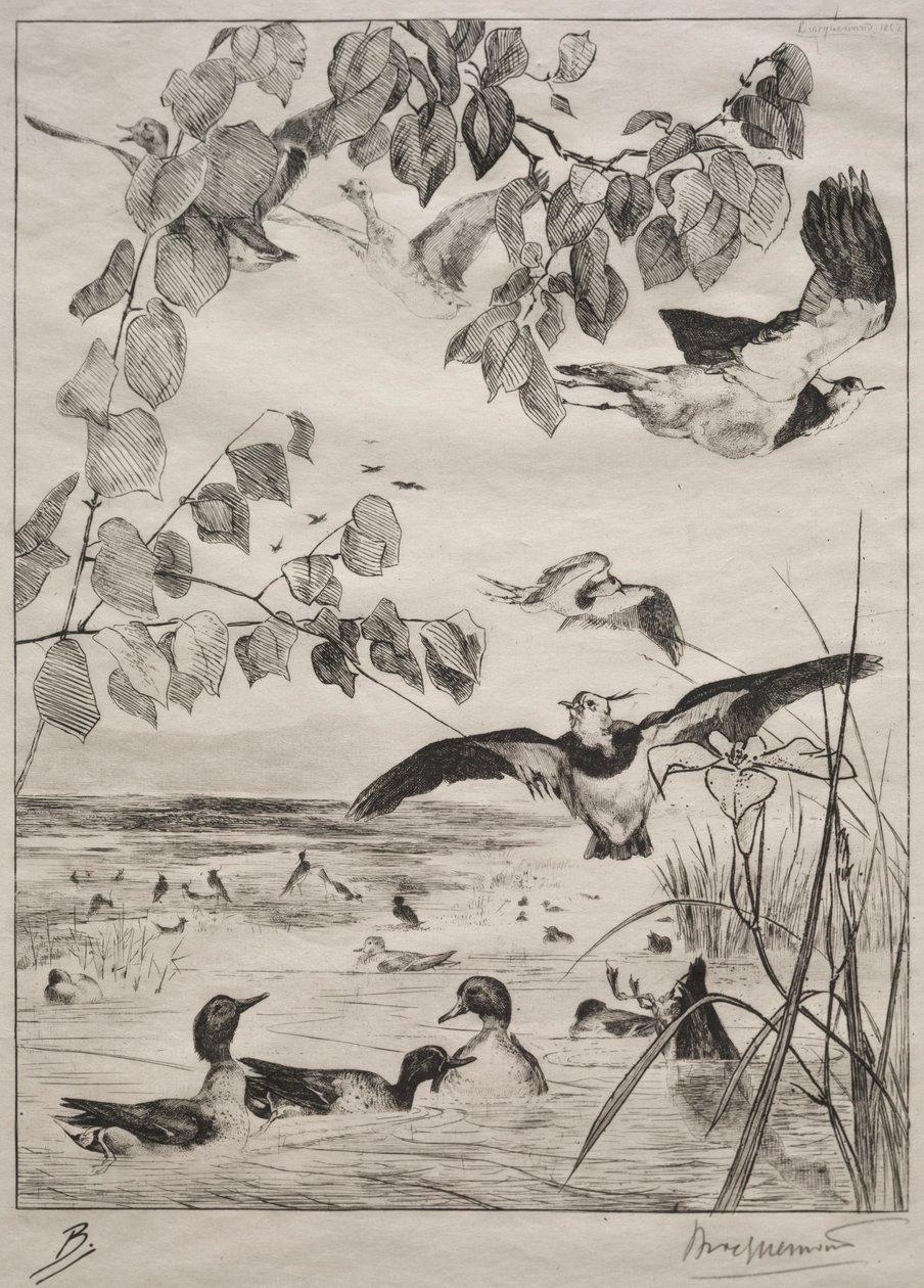Lapwings and Teals, 1862. alkotó: Felix Bracquemond