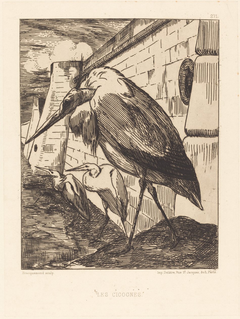 Les Cigognes (A gólyák) alkotó: Felix Bracquemond