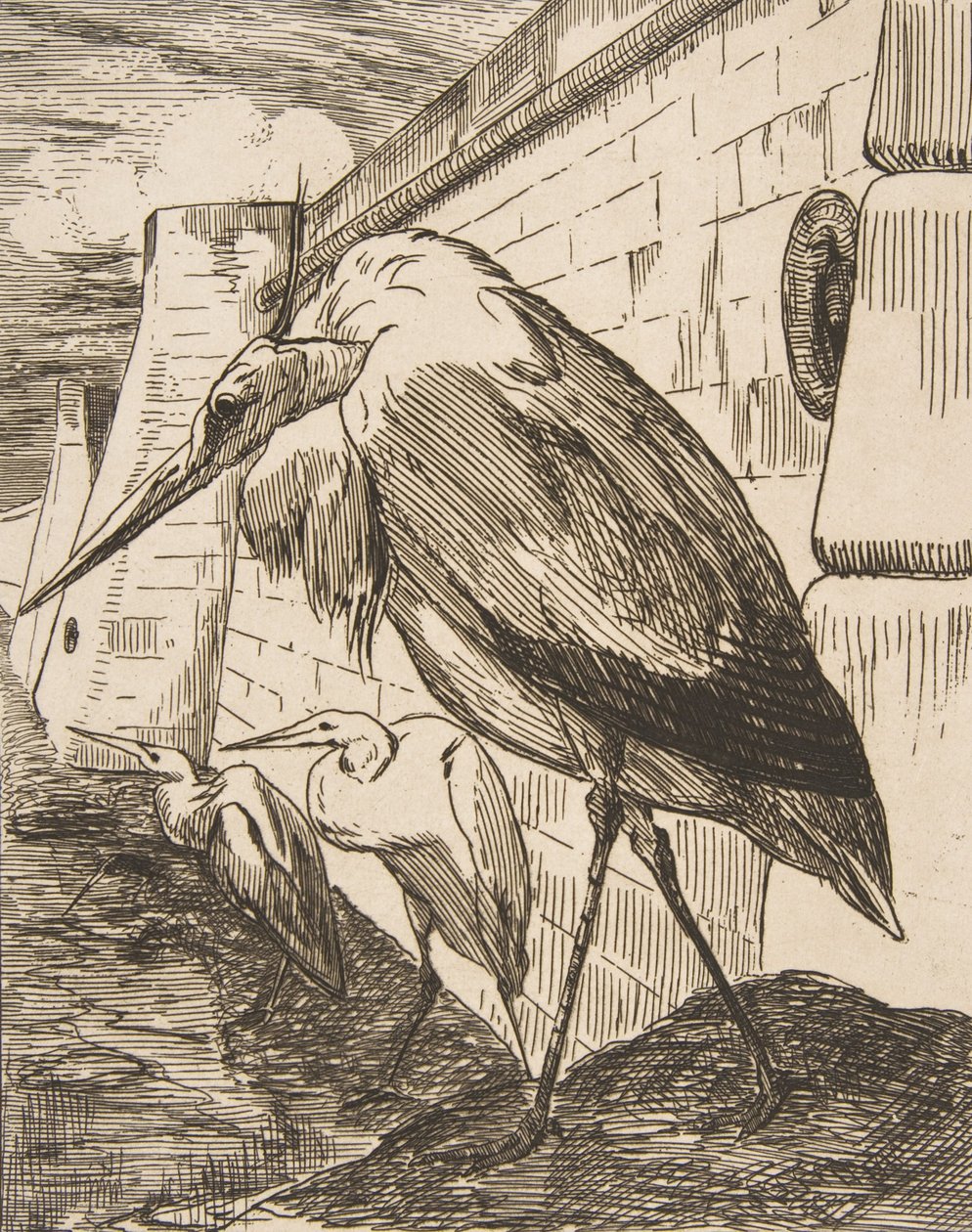 A gólyák, 1870-es, 1870-es évek. alkotó: Felix Bracquemond