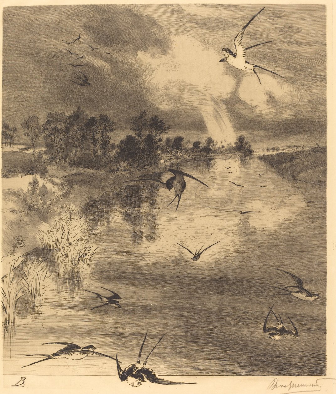 Les Hirondelles (A fecskék) alkotó: Felix Bracquemond