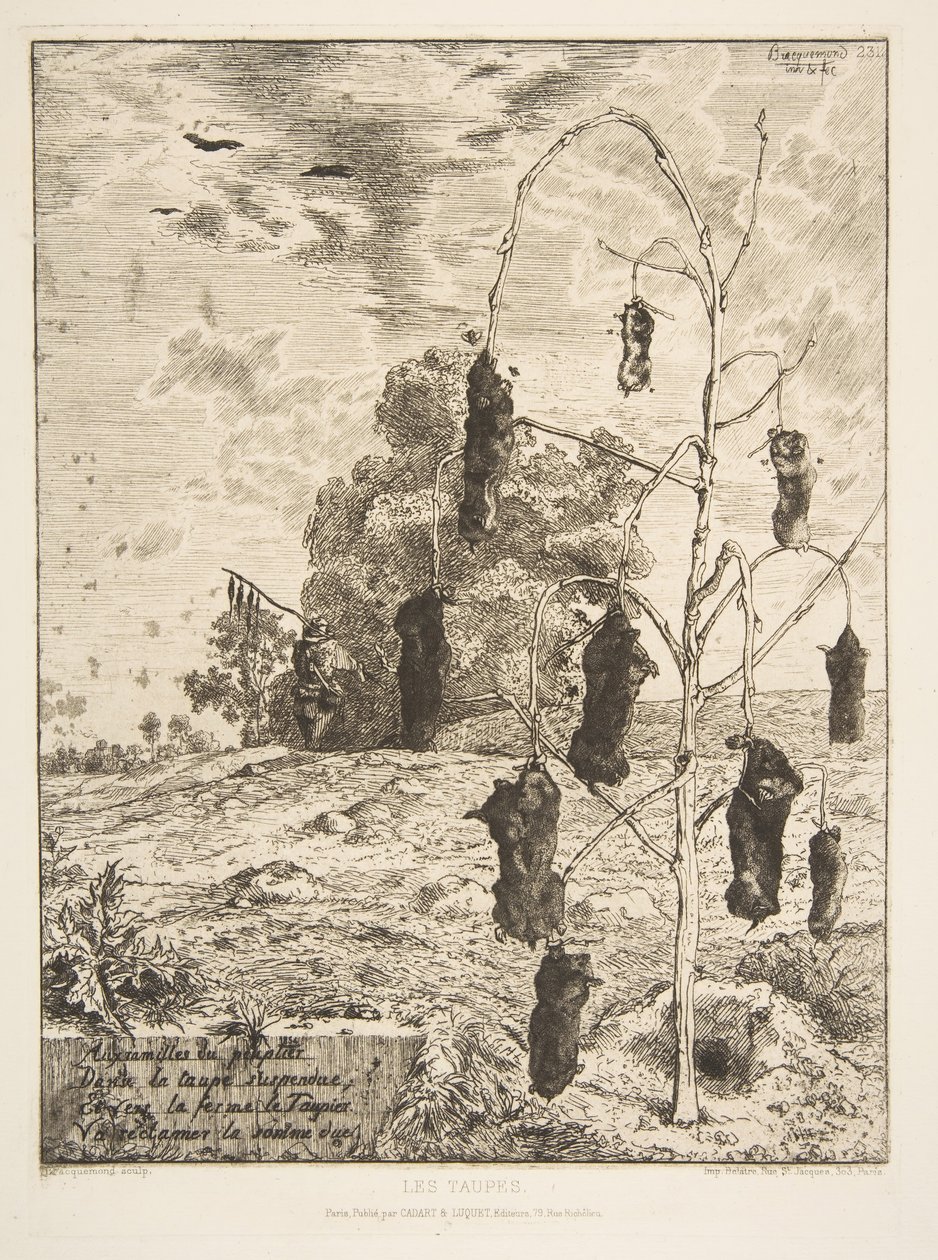 A vakondok, 1854. alkotó: Felix Bracquemond