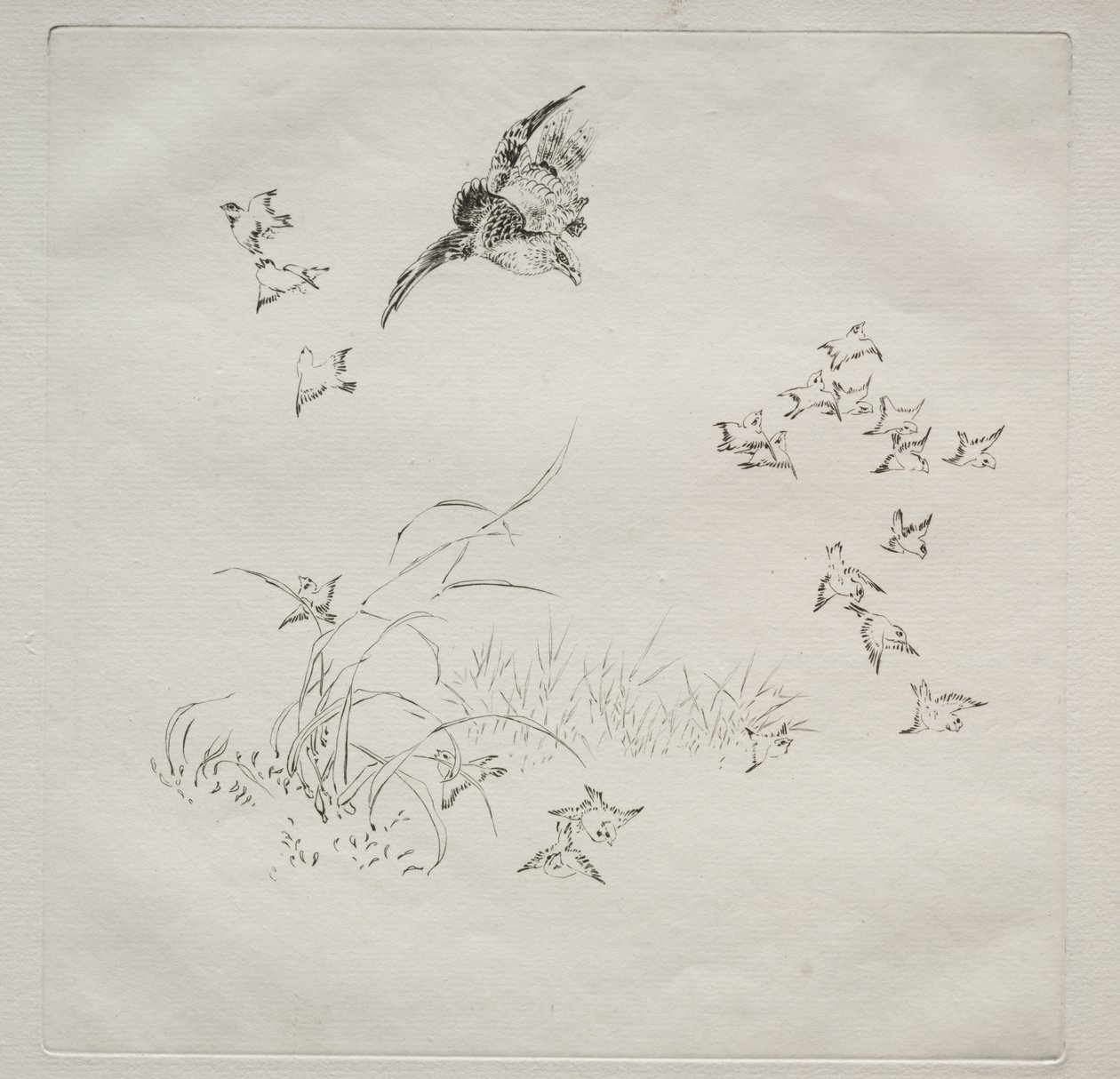 Párizsi szolgálat (Haviland szolgáltatás): A terror (4. sz.) alkotó: Felix Bracquemond