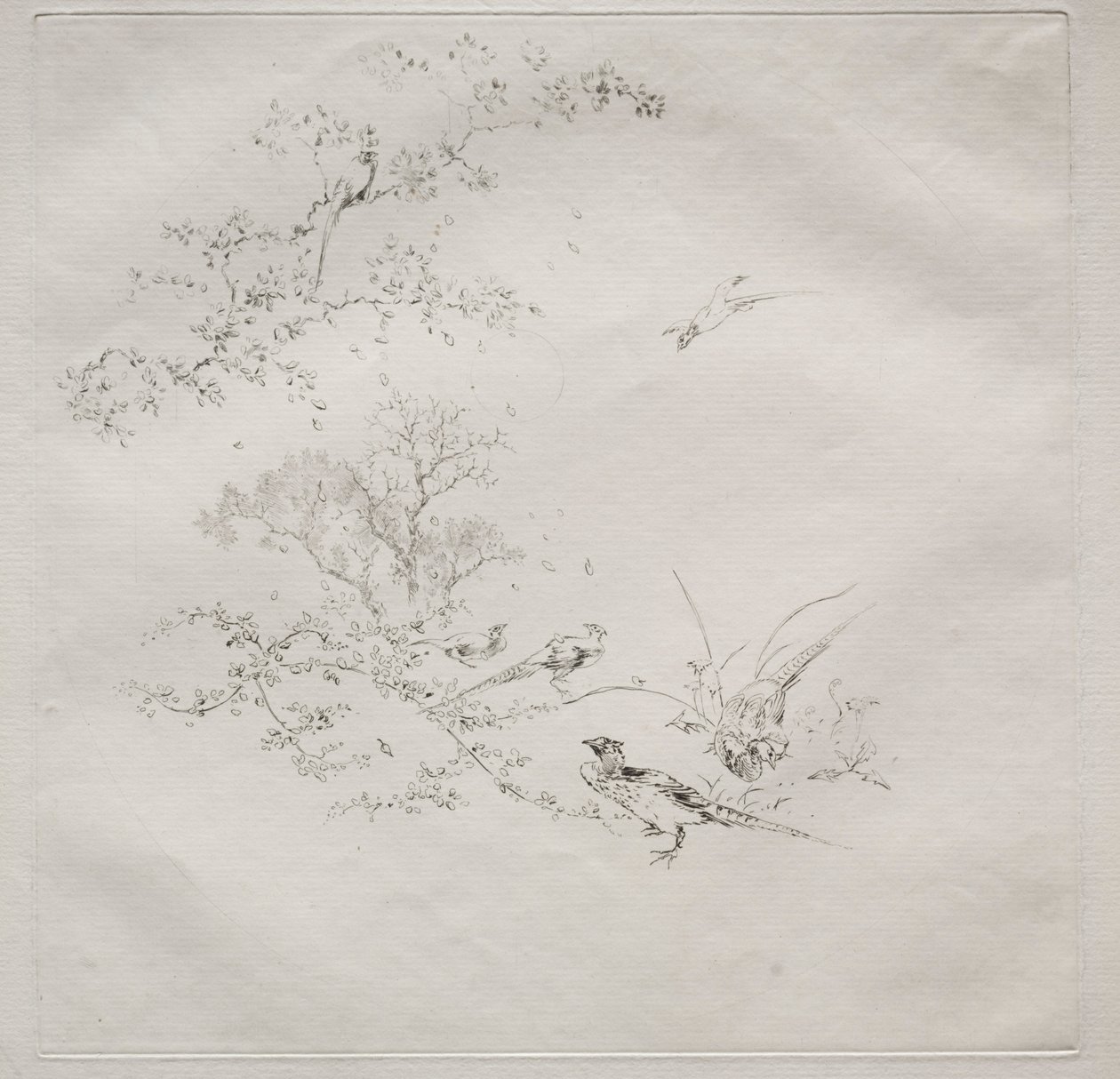 Parisian Service Haviland szolgáltatás: Köd sz. 1, 1875. alkotó: Felix Bracquemond