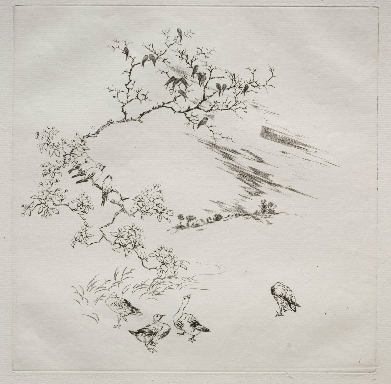 Parisian Service Haviland szolgáltatás: Éjszaka sz. 1875. 7. alkotó: Felix Bracquemond