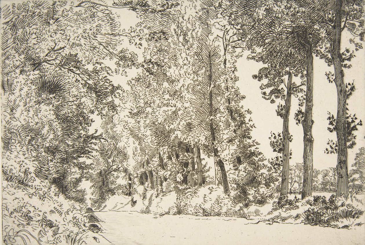 Rue des Bruyères, Sèvres, 1868. alkotó: Felix Bracquemond