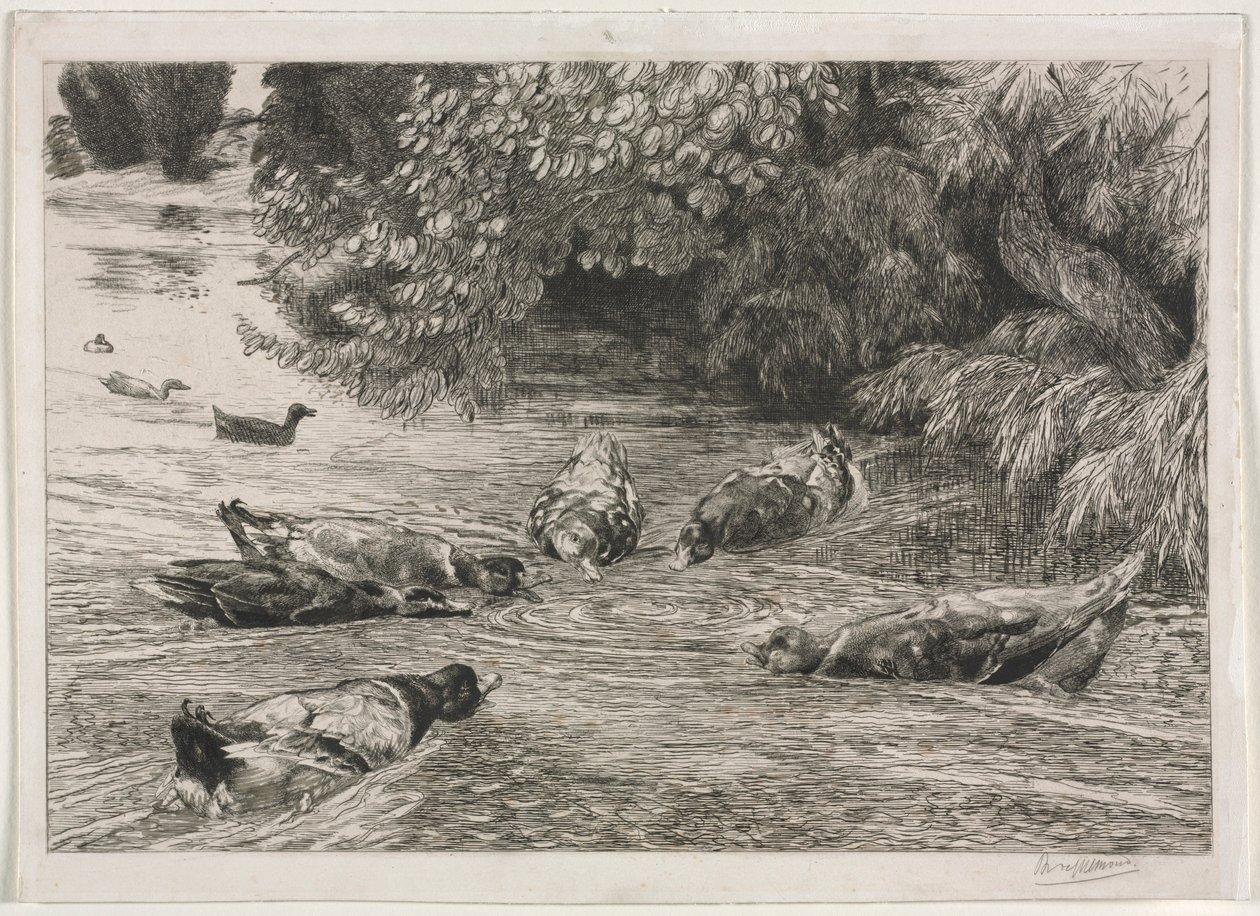 A kérdőjel c. 1865. alkotó: Felix Bracquemond