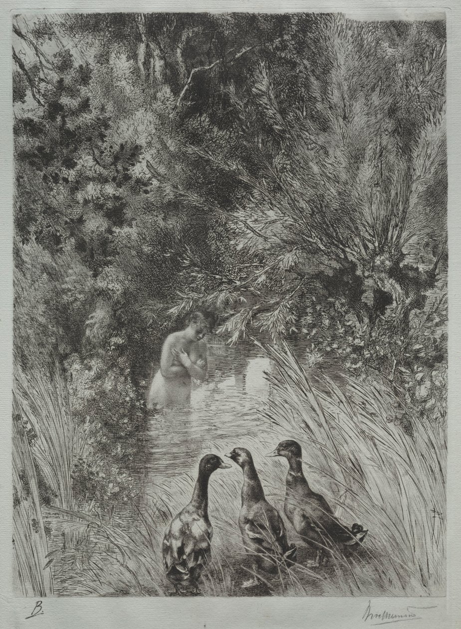 A Meglepett Kacsák. alkotó: Felix Bracquemond