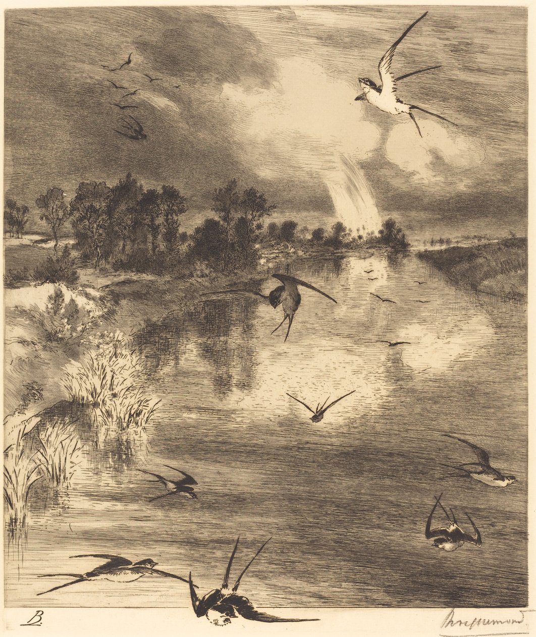 A fecskék alkotó: Felix Bracquemond