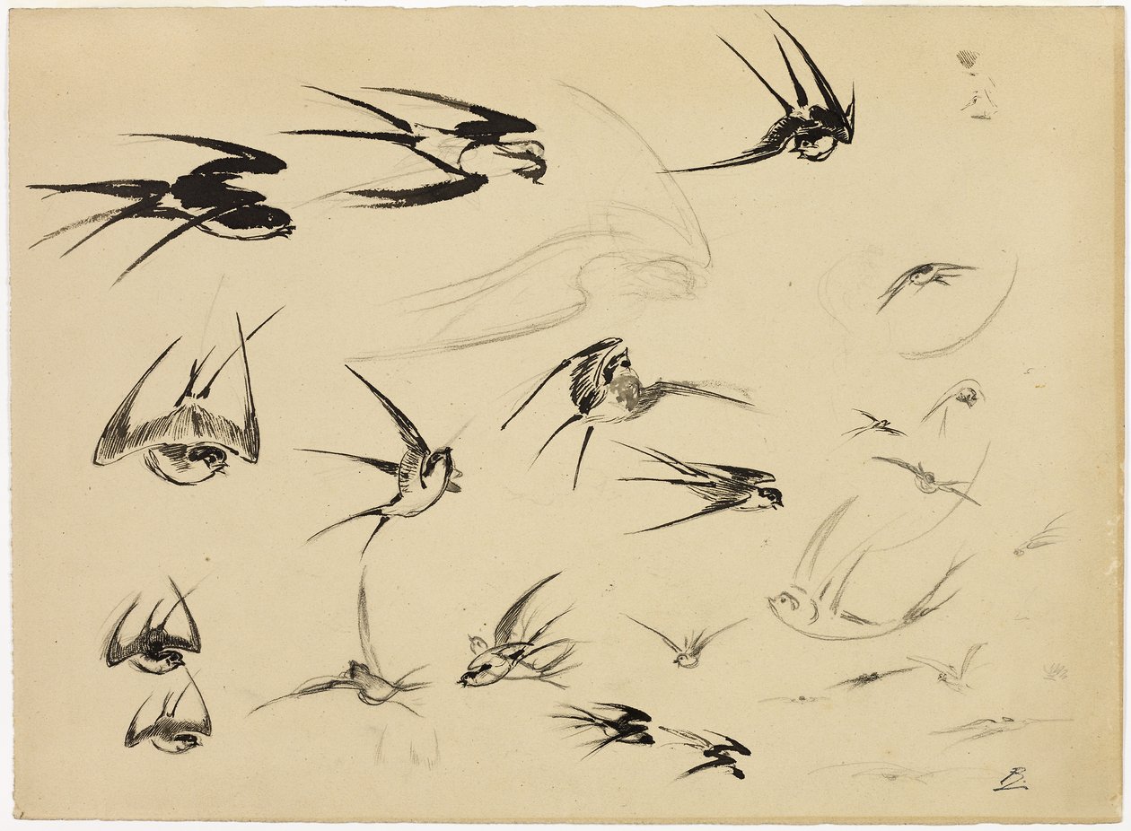 A fecskék, 1881 körül (toll, ecset, tinta, kréta, zsírkréta és grafit, papír) alkotó: Felix Bracquemond
