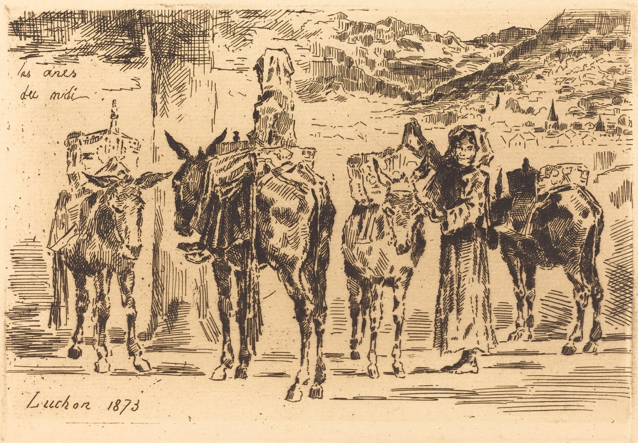 Délvidéki szamárlapok, 1873. alkotó: Felix Hilaire Buhot