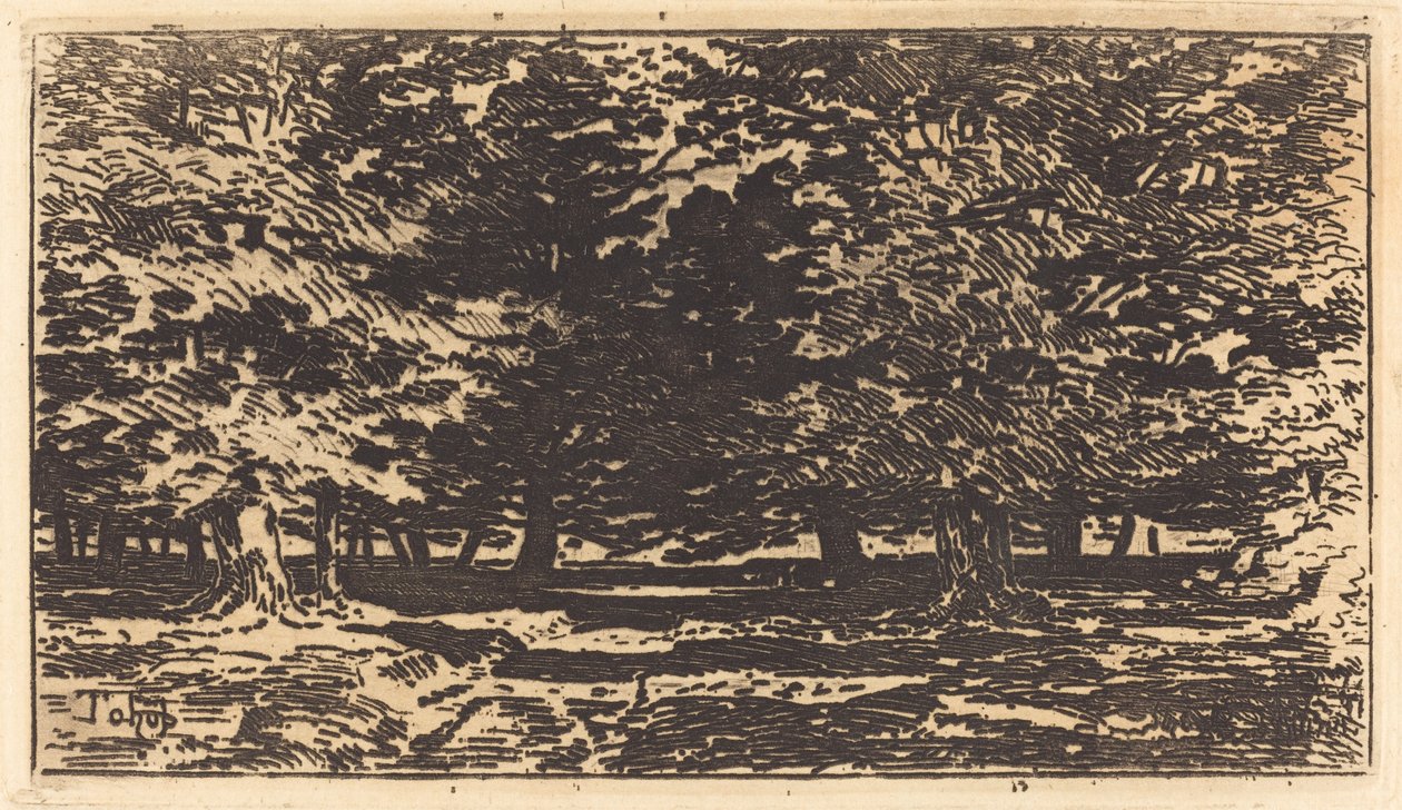 Erdő. alkotó: Felix Hilaire Buhot